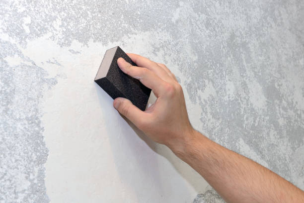 Best Mold Prevention Services  in Packanack Lake, NJ