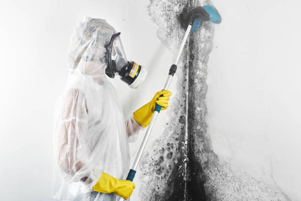 Best Comprehensive Air Testing for Mold Contaminants  in Packanack Lake, NJ