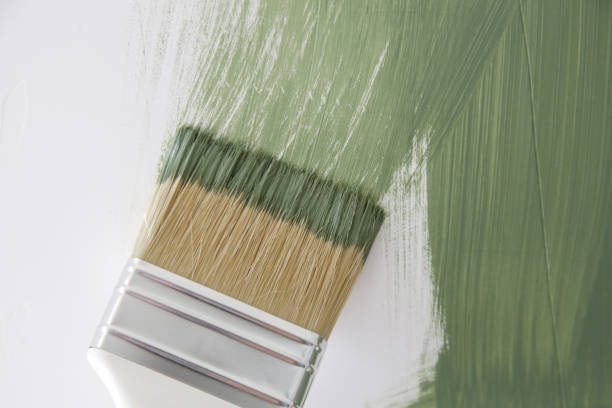 Best Basement Mold Removal  in Packanack Lake, NJ