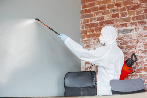 Best Forensic Mold Investigation  in Packanack Lake, NJ