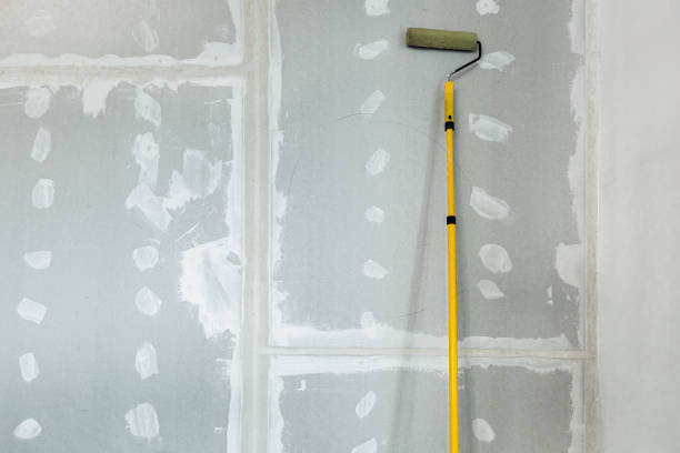 Best Black Mold Removal  in Packanack Lake, NJ