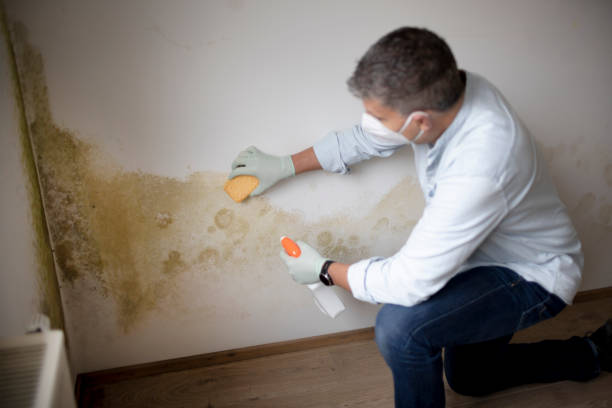 Best Asbestos and Lead Testing During Mold Inspection  in Packanack Lake, NJ