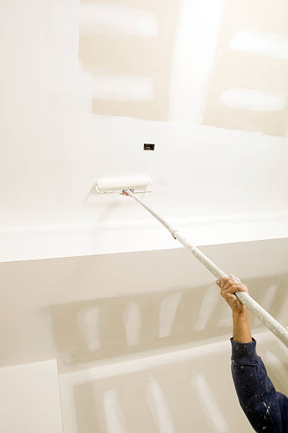 Best Basement Mold Removal  in Packanack Lake, NJ